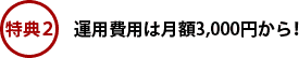 TQF^pp͌z3,000 ~I